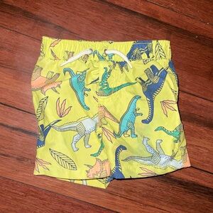 Dinosaur swim trunks